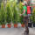 Spritze Flox 10 Liter