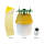 Trichterfalle Set Plodia + Ephestia