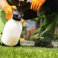 Hirsefrei Extra 50ml