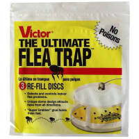 finicon® Flohfalle Vicotr Nachfüllung 3 Stück