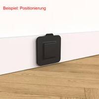 BugScents® Bettwanzen Pheromon 4 Stück –...