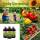 Tierra Nua® Bodenhilfsstoff 1 L – Natürlicher Bodenaktivator für Gartenpflanzen