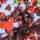 Blut-Pflaume Hochstamm | 12-14cm Stammumfang