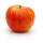 Apfel Topaz Hochstamm | 10-12cm Stammumfang am Ballen