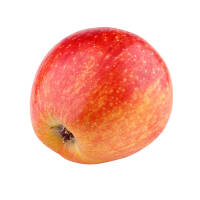 Apfel Santana Halbstamm