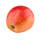Apfel Santana Halbstamm