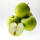 Apfel Granny Smith Halbstamm