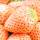 Weiße Ananas-Erdbeere Pineberry im 0,5l Topf