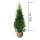 Thuja Smaragd 100-125cm am Ballen