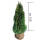 Thuja Smaragd 125-150cm am Ballen
