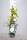 Clematis Mme Le Coultre 60cm+ im C2
