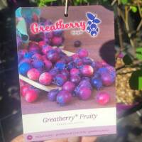 Erlenblättrige Felsenbirne Greatberry Fruity...