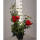 Kletterrose Florentina® C5