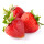 Erdbeere ,Mara des Bois Jungpflanze im 9cm Topf