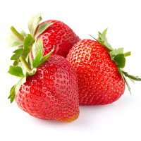 Erdbeere ,Mara des Bois 20-30cm | 3 Liter