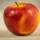 Trio-Apfel: Kronprinz / Braeburn / Gloster – Halbstamm im C20