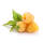 Sommerhimbeere BIO Fallgold 30-50cm