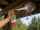 COMPO Wespen Power-Spray 500 ml – Insektizid zur Direkt- und Nestbekämpfung