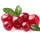 BIO Cranberry Red Star