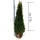 Thuja Smaragd 150-175cm am Ballen - Premium Ware