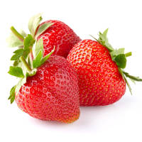 BIO Erdbeere Ostara - mehrmals tragend 10cm
