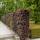 Blutbuche Atropunicea 110-130cm im 2,5l Topf