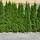 Thuja Smaragd 125cm+ am Ballen