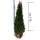 Thuja Smaragd 150-175cm extra buschig am Ballen
