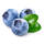 Zweimaltragende Heidelbeere BIO Hortblue Petite  30-50cm