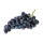 Weinrebe blau kernlos Venus 60-80cm