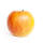 Apfel Cox Orange Halbstamm