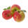 Apfel Gravensteiner Busch