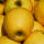 Duo-Apfel Jonagold®/Golden Delicious Halbstamm