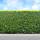 Thuja Brabant 150-175cm mB