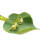 Stadt-Linde Greenspire Hochstamm | 10-12cm Stammumfang im Co
