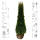 Thuja Smaragd 175-200cm am Ballen