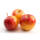 Zwergsäulenapfel Mitchgla