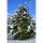 Hemlock-Tanne 100-125cm mit Ballen