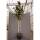 Immergrüne Magnolie Goliath Stammhöhe 100cm Stammumfang 8-10cm im C18