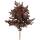 Blut-Ahorn Crimson King  Hochstamm | 12-14cm Stammumfang am Ballen