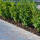 Rindenmulch Standard 0-60mm 2000 Liter XXL BigBag