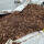 Rindenmulch Standard 0-60mm 2000 Liter XXL BigBag