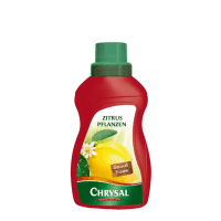 Zitruspflanzen Dünger 500ml