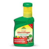 Eisendünger Ferramin 250ml