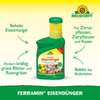 Eisendünger Ferramin 250ml