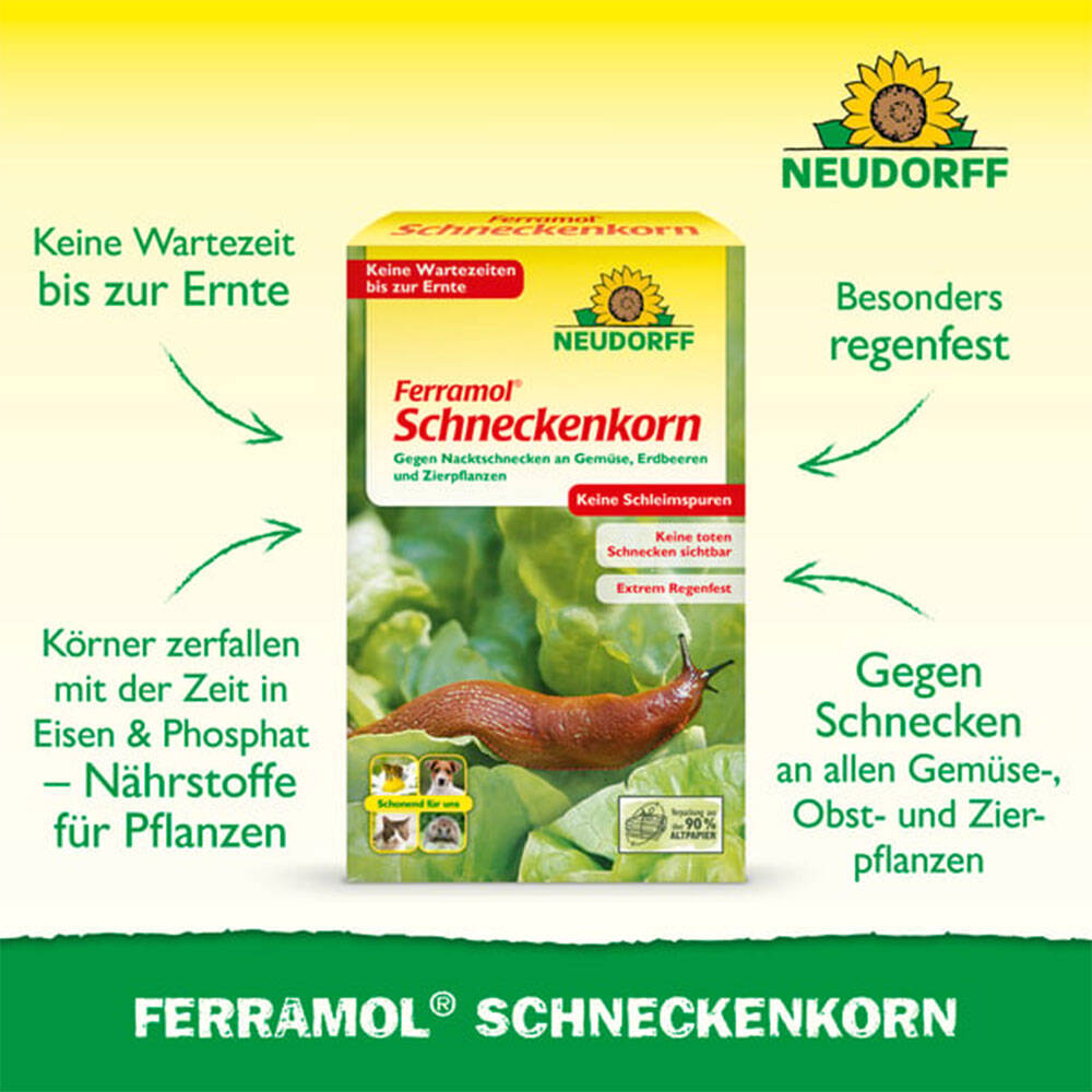 Schnecken- wie wird man sie los? Effektive Mittel