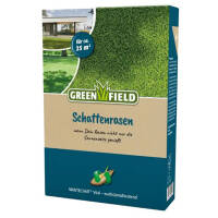 Greenfield Schattenrasen 0,5kg