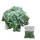 JADE GRAIN | Profi-Getreideköder 20x25g