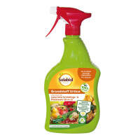 Solabiol Grundstoff Urtica Spray 1l